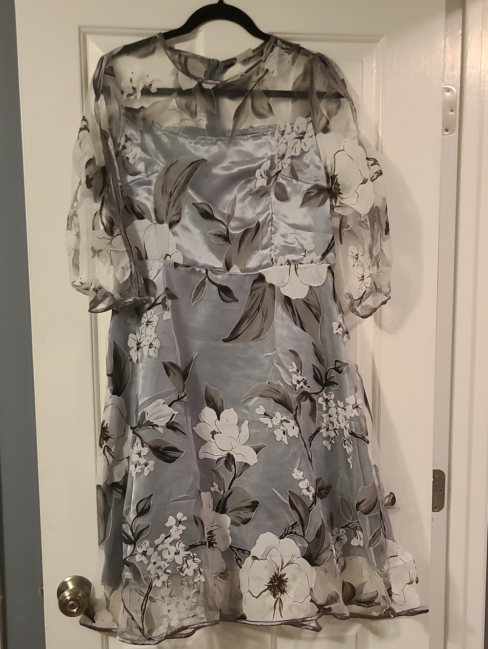 Sheer Floral Overlay Dress in Light Blue and White